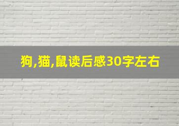 狗,猫,鼠读后感30字左右