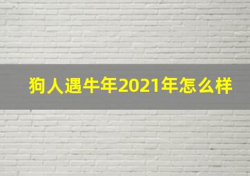 狗人遇牛年2021年怎么样