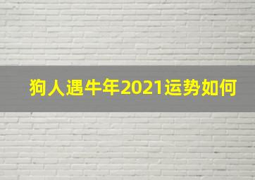 狗人遇牛年2021运势如何