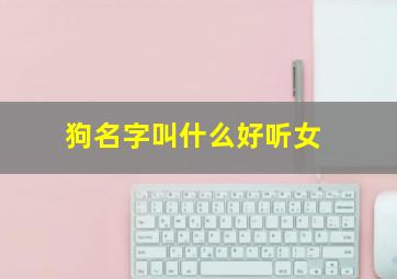 狗名字叫什么好听女