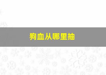 狗血从哪里抽