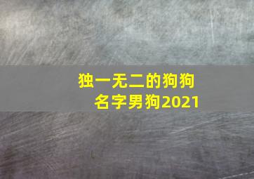 独一无二的狗狗名字男狗2021