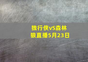 独行侠vS森林狼直播5月23日