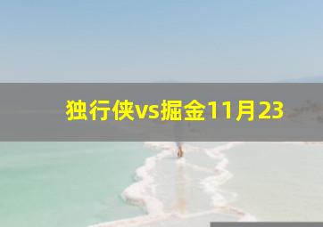 独行侠vs掘金11月23