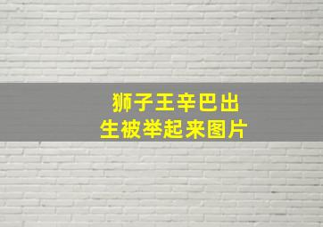 狮子王辛巴出生被举起来图片