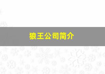 狼王公司简介