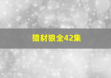 猎豺狼全42集