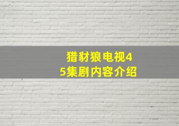 猎豺狼电视45集剧内容介绍