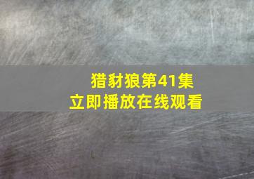 猎豺狼第41集立即播放在线观看