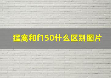 猛禽和f150什么区别图片