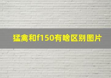 猛禽和f150有啥区别图片