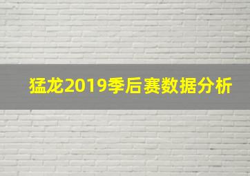 猛龙2019季后赛数据分析