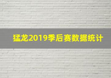 猛龙2019季后赛数据统计