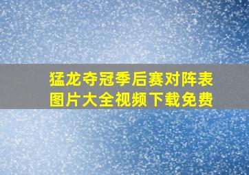 猛龙夺冠季后赛对阵表图片大全视频下载免费