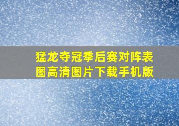 猛龙夺冠季后赛对阵表图高清图片下载手机版