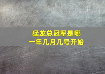 猛龙总冠军是哪一年几月几号开始