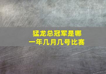 猛龙总冠军是哪一年几月几号比赛