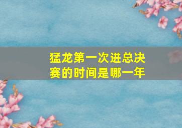 猛龙第一次进总决赛的时间是哪一年