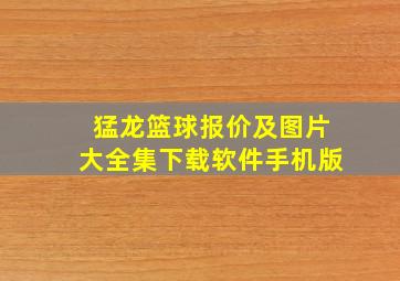 猛龙篮球报价及图片大全集下载软件手机版