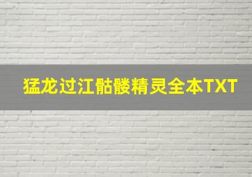 猛龙过江骷髅精灵全本TXT