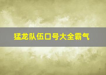 猛龙队伍口号大全霸气