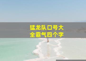 猛龙队口号大全霸气四个字