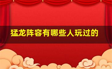 猛龙阵容有哪些人玩过的