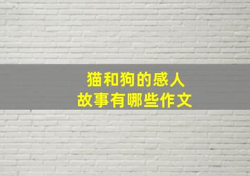 猫和狗的感人故事有哪些作文