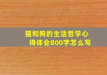 猫和狗的生活哲学心得体会800字怎么写