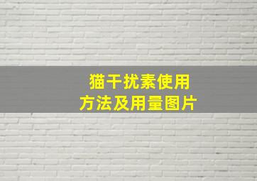 猫干扰素使用方法及用量图片