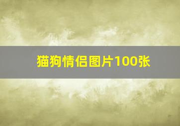 猫狗情侣图片100张