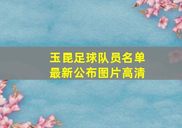 玉昆足球队员名单最新公布图片高清