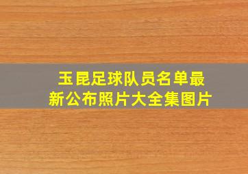 玉昆足球队员名单最新公布照片大全集图片