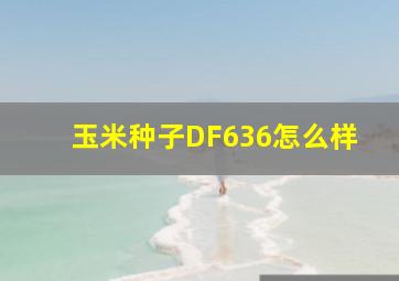 玉米种子DF636怎么样