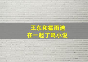 王东和霍雨浩在一起了吗小说