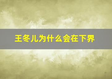 王冬儿为什么会在下界