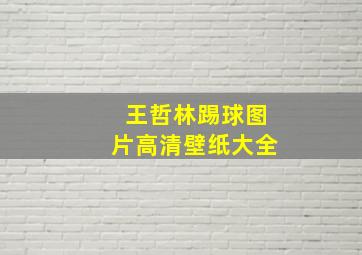 王哲林踢球图片高清壁纸大全