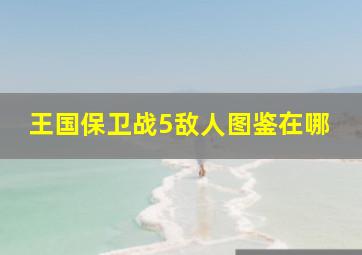 王国保卫战5敌人图鉴在哪