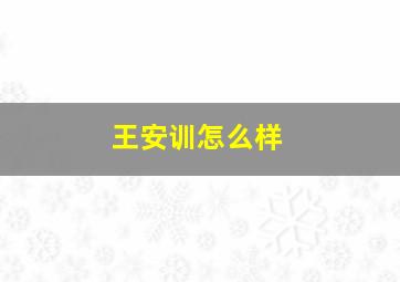 王安训怎么样