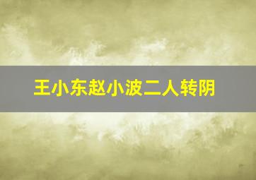 王小东赵小波二人转阴