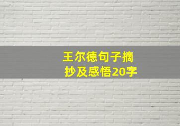 王尔德句子摘抄及感悟20字