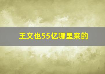 王文也55亿哪里来的