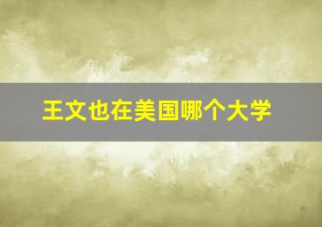 王文也在美国哪个大学