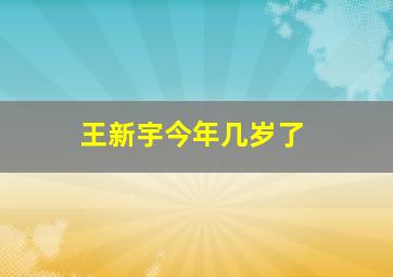 王新宇今年几岁了