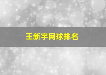 王新宇网球排名