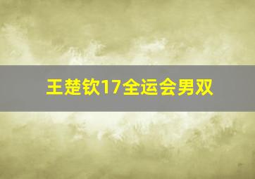 王楚钦17全运会男双