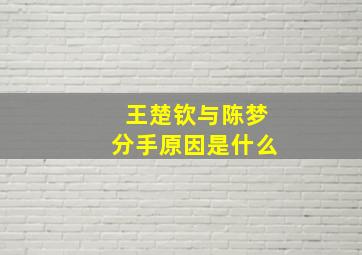 王楚钦与陈梦分手原因是什么