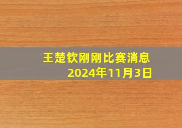 王楚钦刚刚比赛消息2024年11月3日