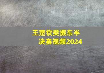 王楚钦樊振东半决赛视频2024