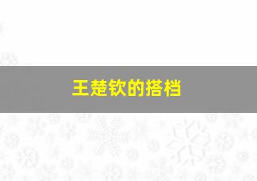 王楚钦的搭档